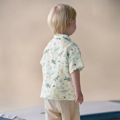Dave&Bella Toddler Boys Summer Playful Dinosaur/White Print College-style Shirts