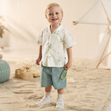 Dave&Bella Toddler Boys Summer Coconut Tree Print Shirt Short Holiday Outfit Sets