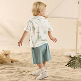Dave&Bella Toddler Boys Summer Coconut Tree Print Shirt Short Holiday Outfit Sets