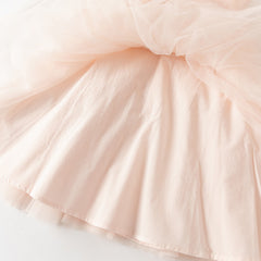 Dave&Bella Summer Toddler Girls Charming Pink Sleeveless Lightweight Mesh Princess Dress