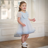 Dave&Bella Summer Toddler Girls Elegant Grey Blue Short Sleeve Lightweight Mesh Dress