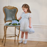 Dave&Bella Summer Toddler Girls Elegant Grey Blue Short Sleeve Lightweight Mesh Dress
