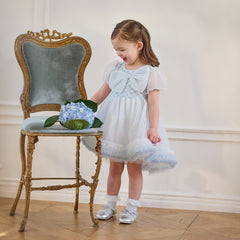 Dave&Bella Summer Toddler Girls Elegant Grey Blue Short Sleeve Lightweight Mesh Dress