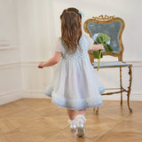 Dave&Bella Summer Toddler Girls Elegant Grey Blue Short Sleeve Lightweight Mesh Dress