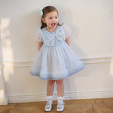 Dave&Bella Summer Toddler Girls Elegant Grey Blue Short Sleeve Lightweight Mesh Dress
