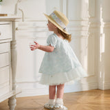 Dave&Bella Summer Toddler Girls Light Blue Print Puff Sleeves Elegant A-line Party Dress