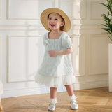 Dave&Bella Summer Toddler Girls Light Blue Print Puff Sleeves Elegant A-line Party Dress