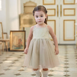 Dave&Bella Summer Toddler Girls Pink/Green Elegant Soft Mesh Spaghetti Strap Dress
