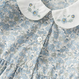 Dave&Bella Toddler Girls Summer Grey Blue Floral Flutter Sleeve Cotton Soft Daily Dress