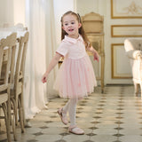 Dave&Bella Summer Toddler Girls Sweet Pink Polo Collar College-style Mesh Princess Dress
