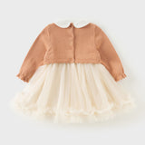 Dave&Bella Toddler Girls Charming Orange Pink Knit Sweater Mesh A-line Dress