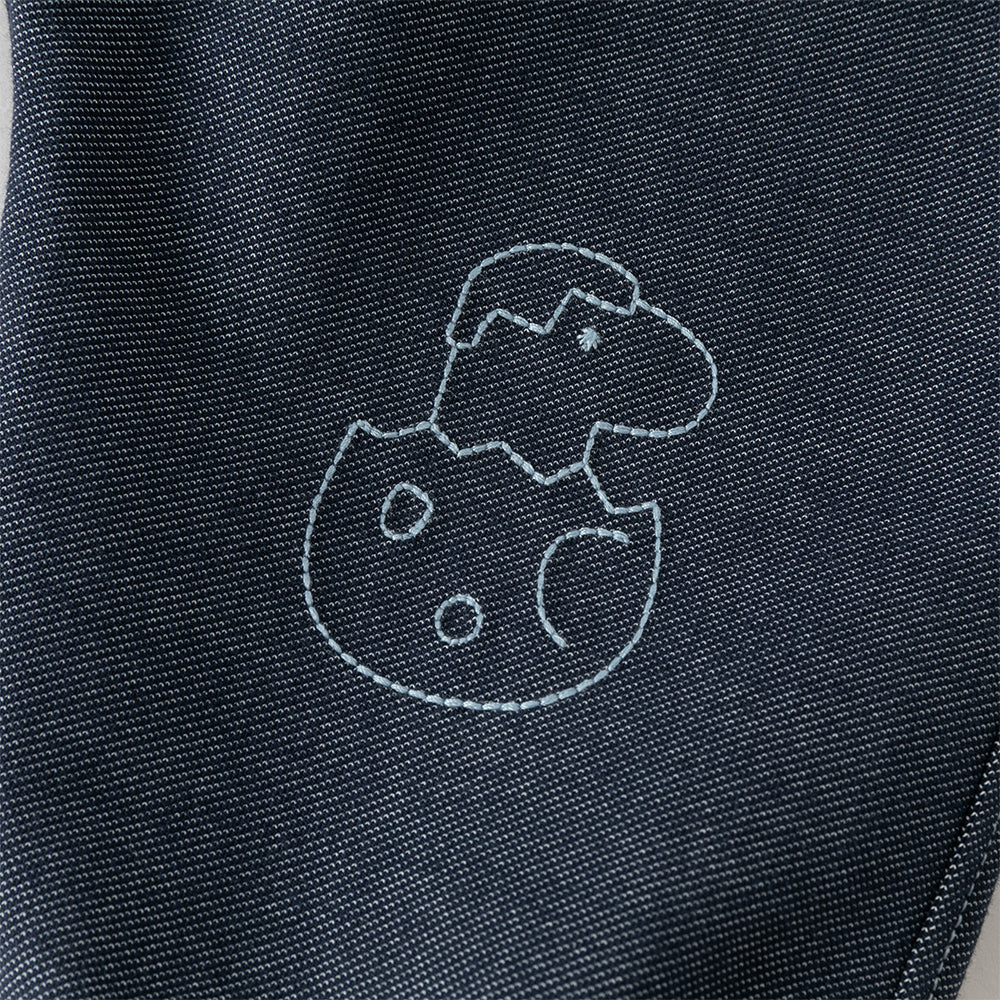 Slide image