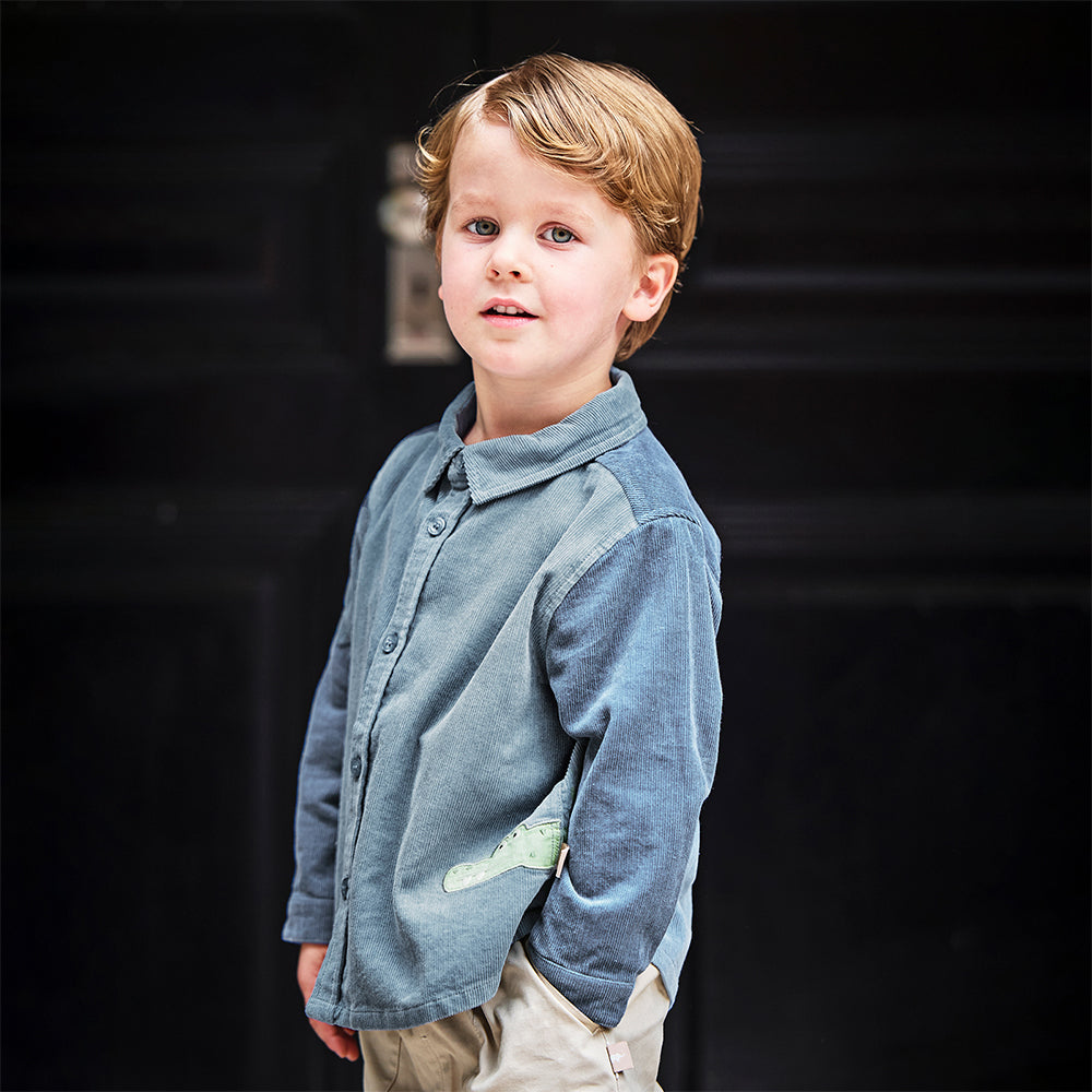 Dave&Bella Toddler Boys Cotton Stylish Grey Blue Formal Preppy Shirts