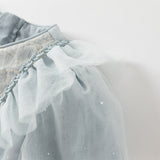 Dave&Bella Toddler Girls Elegance Grey Blue Mesh Charming Princess Dress