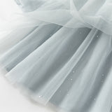 Dave&Bella Toddler Girls Elegance Grey Blue Mesh Charming Princess Dress