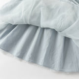 Dave&Bella Toddler Girls Elegance Grey Blue Mesh Charming Princess Dress