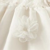 Dave&Bella Toddler Girls Beige Organza Tulle Princess Wide-skirted Dress