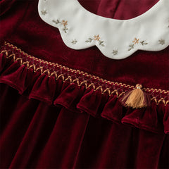 Dave&Bella Toddler Girls Winter Noble Wine Red Luxury Velveteen Holiday Princess Dress