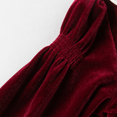 Dave&Bella Toddler Girls Winter Noble Wine Red Luxury Velveteen Holiday Princess Dress