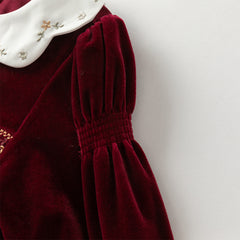 Dave&Bella Toddler Girls Winter Noble Wine Red Luxury Velveteen Holiday Princess Dress