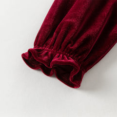 Dave&Bella Toddler Girls Winter Noble Wine Red Luxury Velveteen Holiday Princess Dress