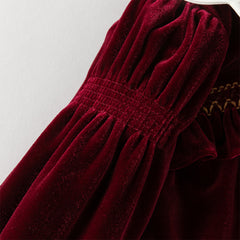 Dave&Bella Toddler Girls Winter Noble Wine Red Luxury Velveteen Holiday Princess Dress