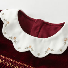 Dave&Bella Toddler Girls Winter Noble Wine Red Luxury Velveteen Holiday Princess Dress