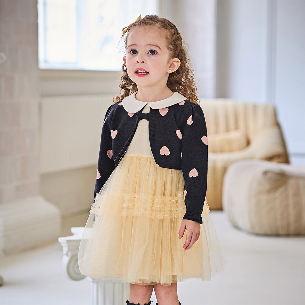 Dave&Bella Toddler Girls Navy Blue Delicate Fake Two Piece Sweater Mesh Dress