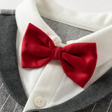 Dave&Bella Baby Boys Grey Striped Formal Bow Tie Gentleman Suit Rompers
