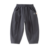 Dave&Bella Toddler Boys Grey/Apricot Daily Versatile Cozy Pants