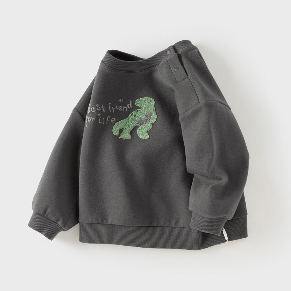 Dave&Bella Toddler Boys Dark Grey/Beige Playful Dinosaur Casual Sweatshirts