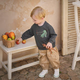 Dave&Bella Toddler Boys Dark Grey/Beige Playful Dinosaur Casual Sweatshirts