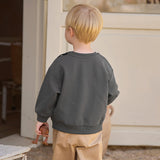 Dave&Bella Toddler Boys Dark Grey/Beige Playful Dinosaur Casual Sweatshirts