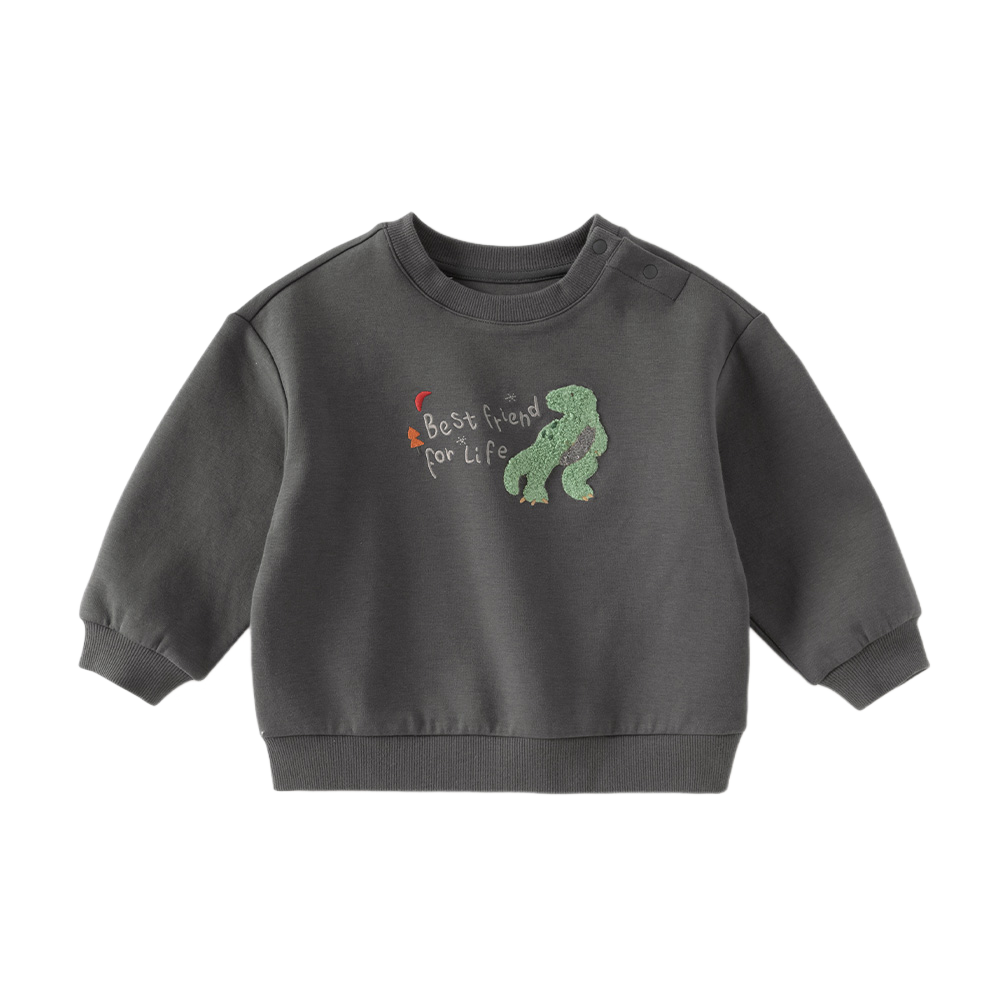 Dave&Bella Toddler Boys Dark Grey/Beige Playful Dinosaur Casual Sweatshirts