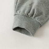 Dave&Bella Toddler Boys Gray Simple Versatile Jogger Pants