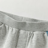 Dave&Bella Toddler Boys Light Grey Hooded Coat Sport Style Soft Pant Suits