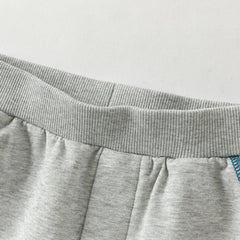 Dave&Bella Toddler Boys Light Grey Hooded Coat Sport Style Soft Pant Suits
