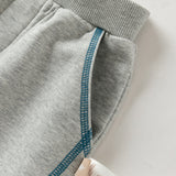 Dave&Bella Toddler Boys Light Grey Hooded Coat Sport Style Soft Pant Suits