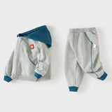 Dave&Bella Toddler Boys Light Grey Hooded Coat Sport Style Soft Pant Suits