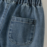 Dave&Bella Toddler Boys Denim Blue Retro Classic Distressed Jogger Pants