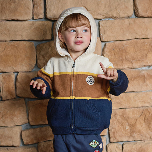 Dave&Bella Toddler Boys Winter Gentle Striped Outwear Plush-lined Hooded Sweater Coats