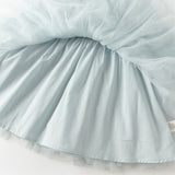 Dave&Bella Toddler Girls Elegant Ice Blue Turtle A-line Mesh Princess Dresses