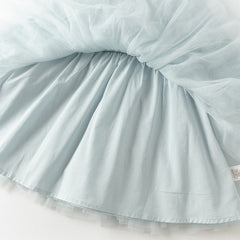 Dave&Bella Toddler Girls Winter Elegant Ice Blue Turtle A-line Mesh Princess Dresses