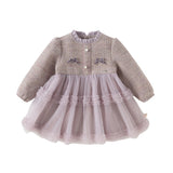 Dave&Bella Toddler Girls Graceful Grey Purple Turtle Plush-lined Mesh Princess Dress