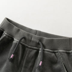 Dave&Bella Toddler Boys Winter Casual Grey Plush-lined Drawstring Pants