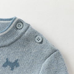 Dave&Bella Toddler Boys Winter Breathable Cotton Turtle Blue Pullover Sweaters Tops