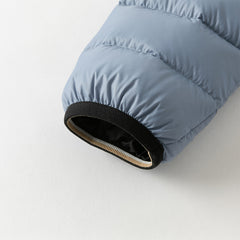 Dave&Bella Kids Boys Winter Blue Cozy Outwear Windproof Hooded Down Coats