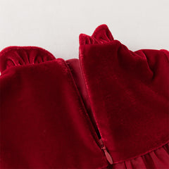 Dave&Bella Toddler Girls Cute Red Soft Turtle Cozy A-line Mesh Princess Dress