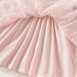 Dave&Bella Toddler Girls Elegant Pink Turtle Long-sleeved A-line Party Mesh Dress