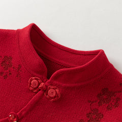 Dave&Bella Toddler Girls Classic Chinese-style Turtle Cozy A-line Mesh Dress